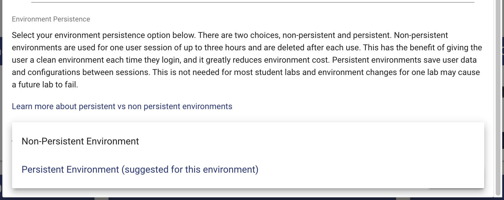 A description of the environment persistent options is shown. Below that are the buttons for selecting your persistence option.